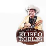 Eliseo Robles