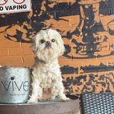 Yappy Hour at Braxton Barrel House