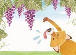 Bilingual Storytime / Hora de cuentos bilingüe