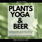 Plants, Yoga & Beer