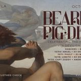 Bearded Pig Disco