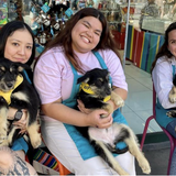 Dog Adoption with LA Love and Leashes