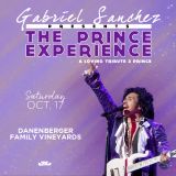 The Prince Experience