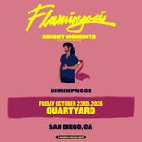 Flamingosis: Bright Moments 10 Year Anniversary with Shrimpnose
