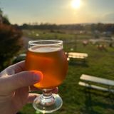 Trivia in the Greenhouse