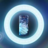 The Influencer Project