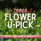 Flower U-Pick