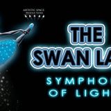The Swan Lake: Symphony of Lights
