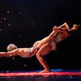 Pilobolus