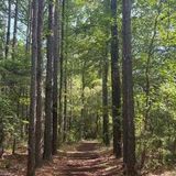 Hike to High Falls