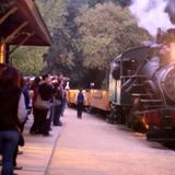 MOONLIGHT DINNER TRAIN