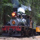 Redwood Forest Steam Train