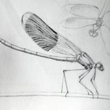 Drawn to Drawing (beg./int.)