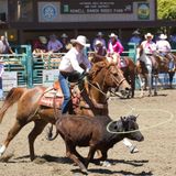 Cecil Jones Cowboy Challenge Team Roping