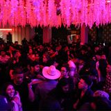 Banda World 18+