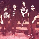The Warped Band - The Official Tribute to Warped Tour