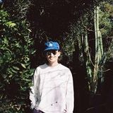 Gnash
