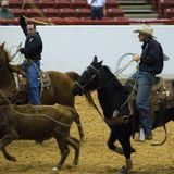 Cape Breton Pro Rodeo