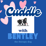 Cuddle with Bentley the Therapy Dog