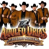 Adolfo Urias y Su Lobo Norteno