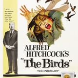 The Birds