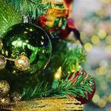 The Fort Myers Festival of Trees