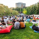 Summer at SAM