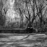 In the Shadows