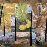 Open Spaces: Fiber Arts Addressing the Landscape (free)