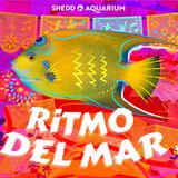 Día de los Muertos Ritmo del Mar