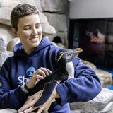 Animal Chats and Live Programs