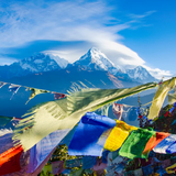 Daily Lunchtime Meditation | with Annie Bien, Tony Pham, and Nick Shopa