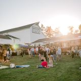 The Social