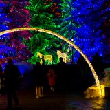 Enchanted Festival at Spruce Meadows