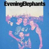 Evening Elephants