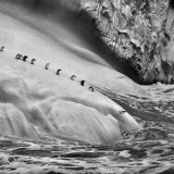 The World of Sebastiao Salgado | The Memorial Exhibition