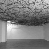 Blanket of Branches