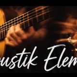 Acoustik Element