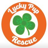 Barks & Brews w/ Lucky Pup Dog Rescue
