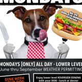 DINE WITH YOUR DOG MONDAYS