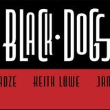 Black Dogs