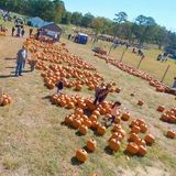 Fall festival