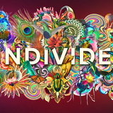 UNDIVIDED
