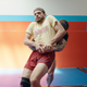 Jiu-Jitsu, Greco-Roman and folkstyle wrestling.