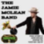 The Jamie McLean Band