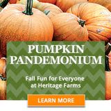 PUMPKIN PANDEMONIUM