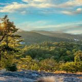 Mountain Away Retreat in Highlands - The Art of Letting Go