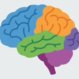 Boost Your Brain and Memory