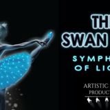 Swan Lake: Symphony of Lights