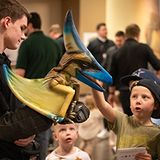 Baby Dinos 101